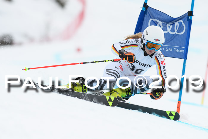 FIS + NJC Riesenslalom Damen + Herren 02.02.2019