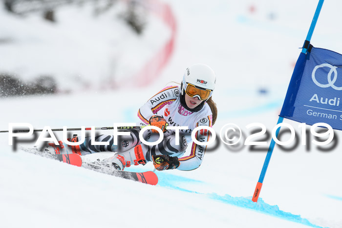 FIS + NJC Riesenslalom Damen + Herren 02.02.2019