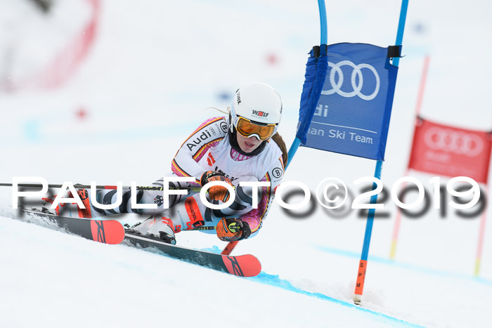 FIS + NJC Riesenslalom Damen + Herren 02.02.2019