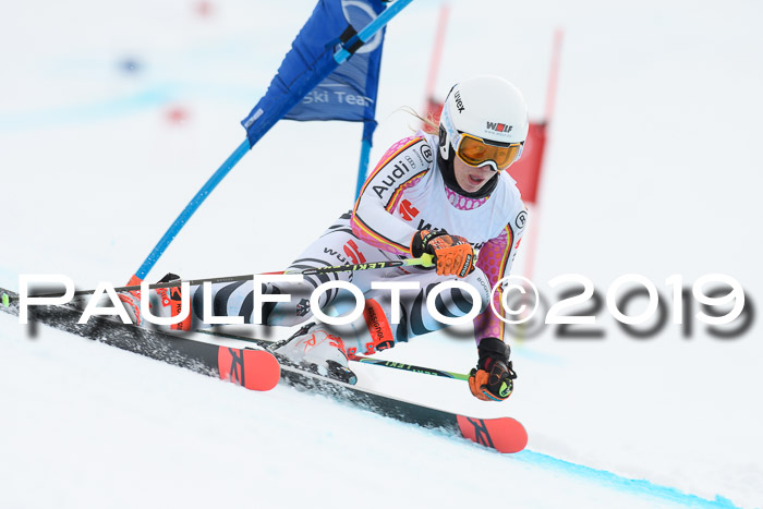 FIS + NJC Riesenslalom Damen + Herren 02.02.2019
