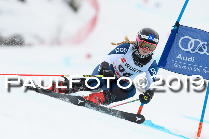 FIS + NJC Riesenslalom Damen + Herren 02.02.2019