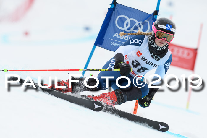 FIS + NJC Riesenslalom Damen + Herren 02.02.2019