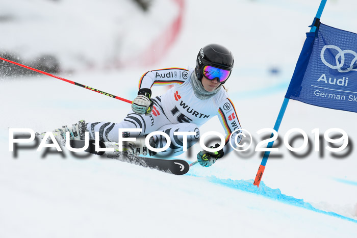 FIS + NJC Riesenslalom Damen + Herren 02.02.2019
