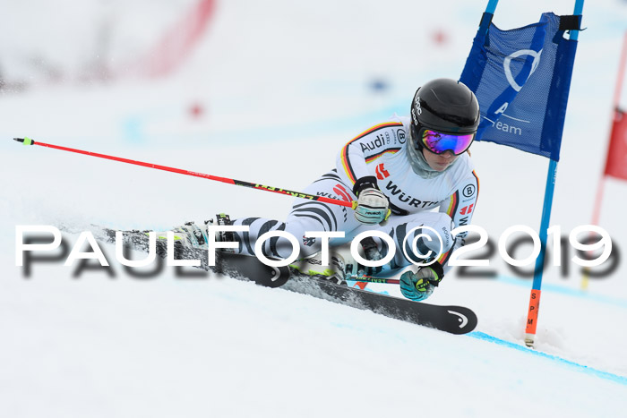 FIS + NJC Riesenslalom Damen + Herren 02.02.2019