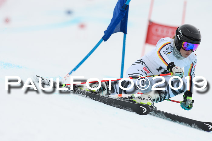 FIS + NJC Riesenslalom Damen + Herren 02.02.2019