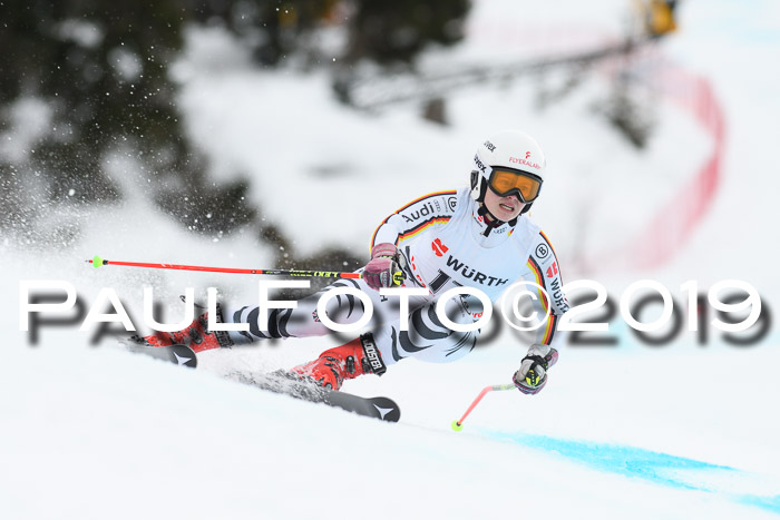 FIS + NJC Riesenslalom Damen + Herren 02.02.2019