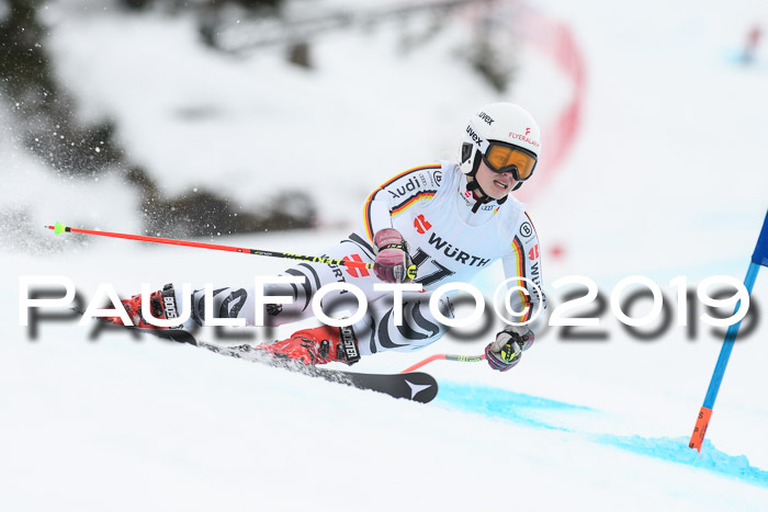 FIS + NJC Riesenslalom Damen + Herren 02.02.2019