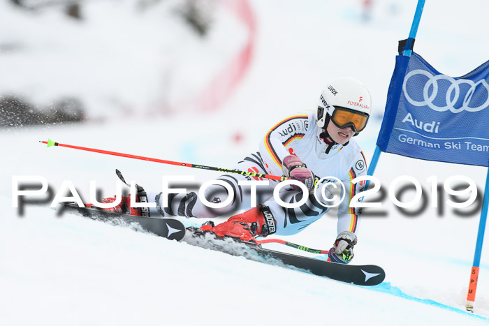 FIS + NJC Riesenslalom Damen + Herren 02.02.2019