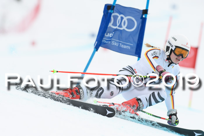 FIS + NJC Riesenslalom Damen + Herren 02.02.2019