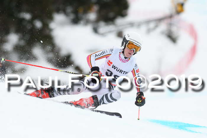 FIS + NJC Riesenslalom Damen + Herren 02.02.2019
