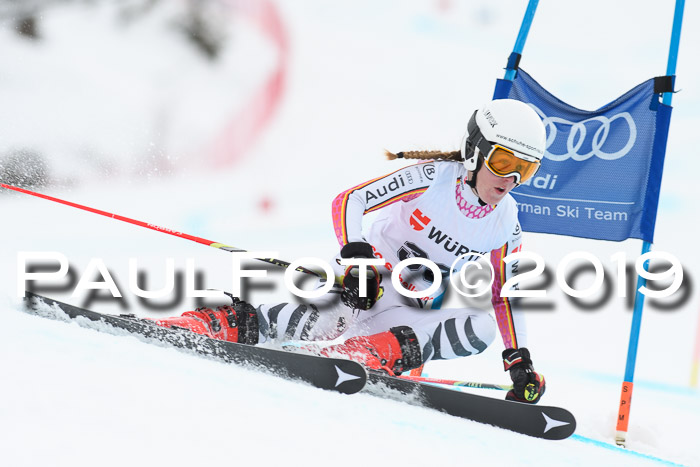 FIS + NJC Riesenslalom Damen + Herren 02.02.2019