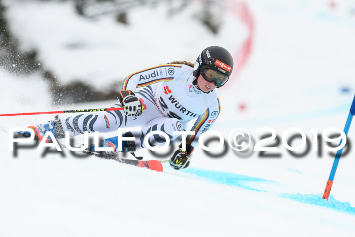 FIS + NJC Riesenslalom Damen + Herren 02.02.2019