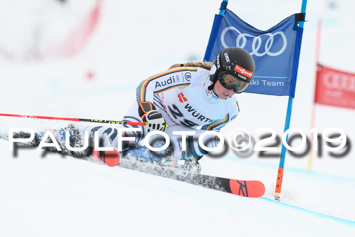 FIS + NJC Riesenslalom Damen + Herren 02.02.2019