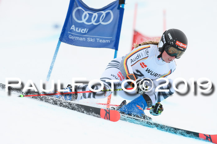 FIS + NJC Riesenslalom Damen + Herren 02.02.2019