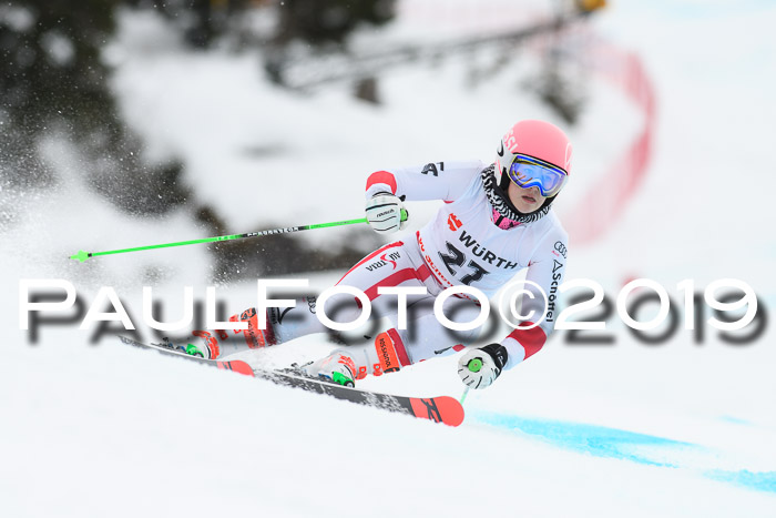 FIS + NJC Riesenslalom Damen + Herren 02.02.2019