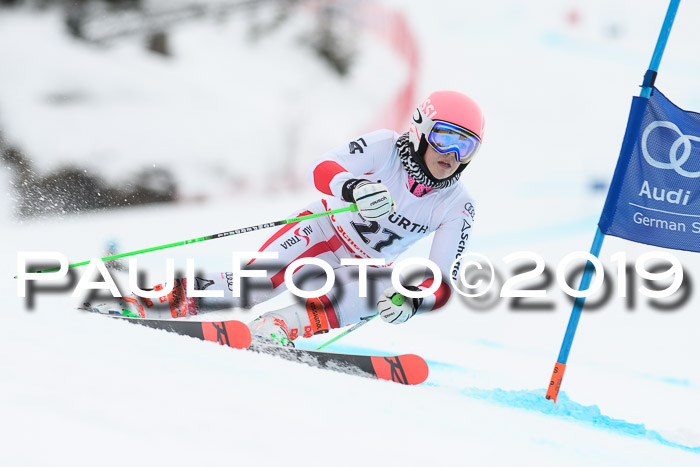 FIS + NJC Riesenslalom Damen + Herren 02.02.2019