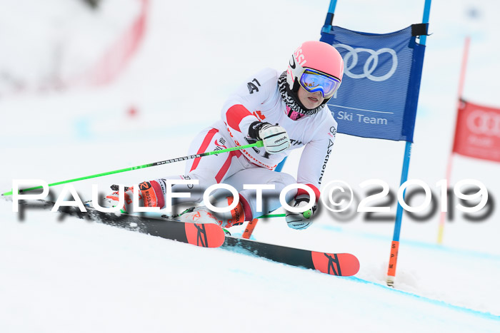 FIS + NJC Riesenslalom Damen + Herren 02.02.2019
