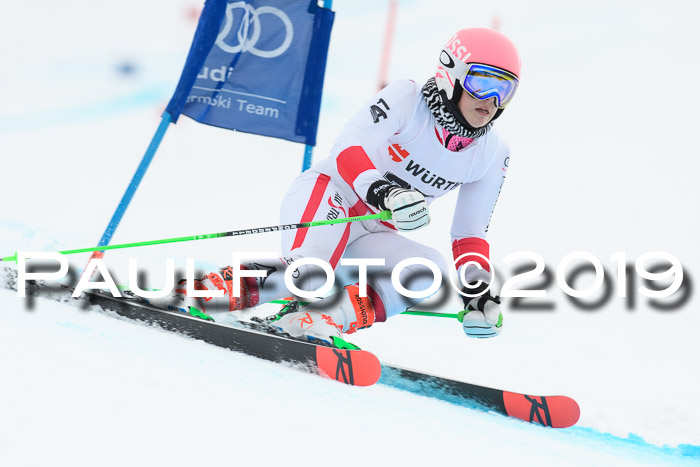 FIS + NJC Riesenslalom Damen + Herren 02.02.2019