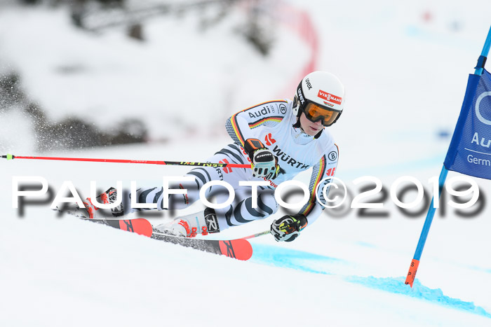 FIS + NJC Riesenslalom Damen + Herren 02.02.2019