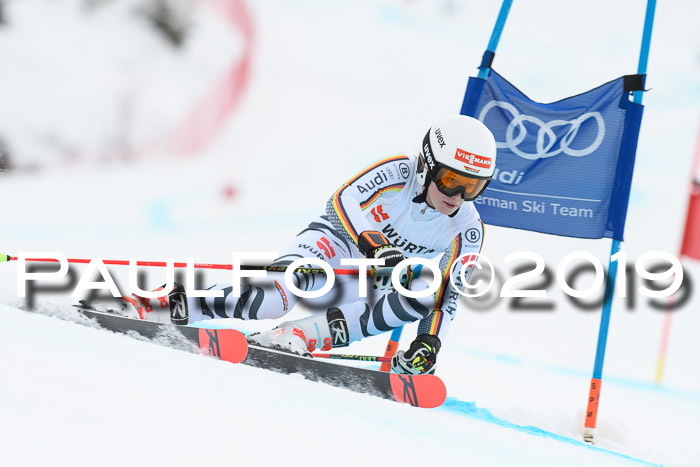 FIS + NJC Riesenslalom Damen + Herren 02.02.2019