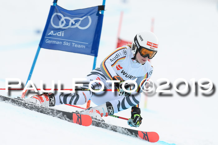 FIS + NJC Riesenslalom Damen + Herren 02.02.2019