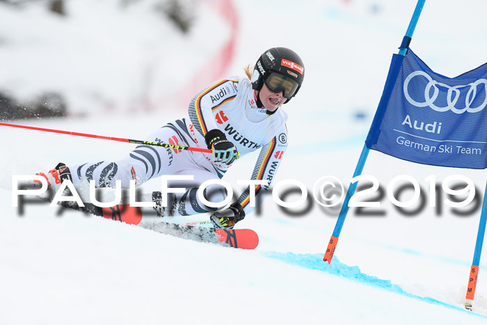 FIS + NJC Riesenslalom Damen + Herren 02.02.2019