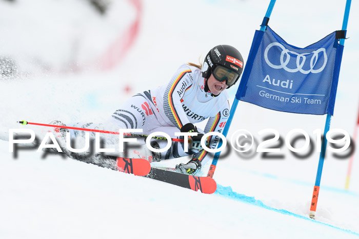 FIS + NJC Riesenslalom Damen + Herren 02.02.2019