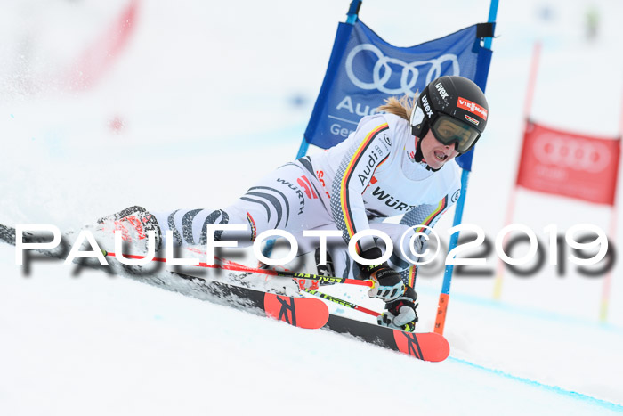 FIS + NJC Riesenslalom Damen + Herren 02.02.2019