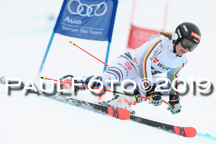 FIS + NJC Riesenslalom Damen + Herren 02.02.2019