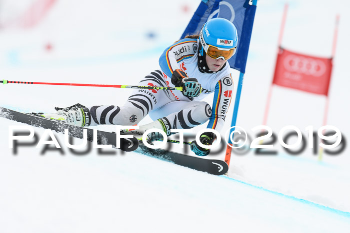 FIS + NJC Riesenslalom Damen + Herren 02.02.2019