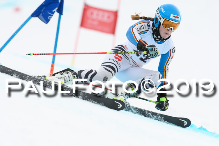 FIS + NJC Riesenslalom Damen + Herren 02.02.2019