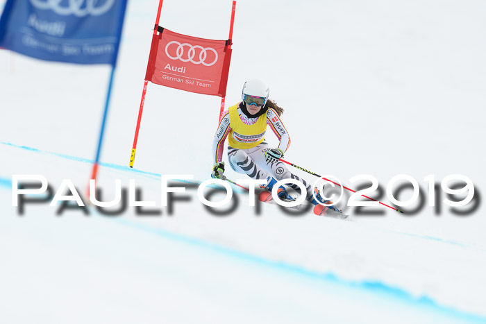 FIS + NJC Riesenslalom Damen + Herren 02.02.2019