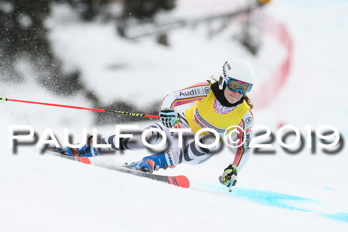 FIS + NJC Riesenslalom Damen + Herren 02.02.2019