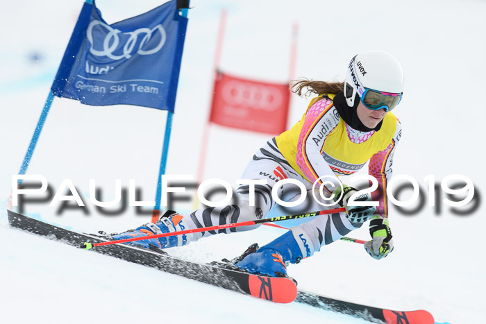 FIS + NJC Riesenslalom Damen + Herren 02.02.2019