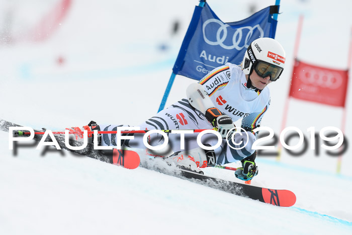 FIS + NJC Riesenslalom Damen + Herren 02.02.2019