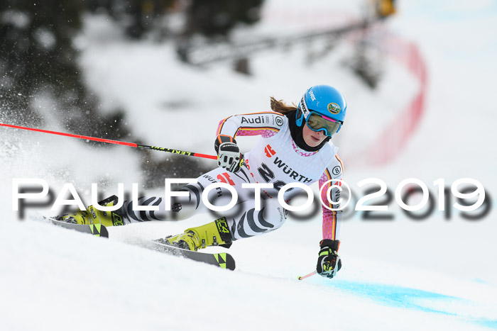 FIS + NJC Riesenslalom Damen + Herren 02.02.2019