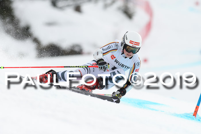 FIS + NJC Riesenslalom Damen + Herren 02.02.2019