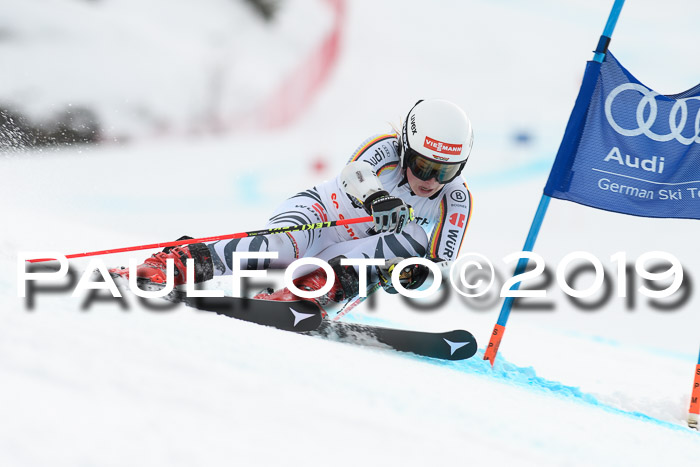FIS + NJC Riesenslalom Damen + Herren 02.02.2019