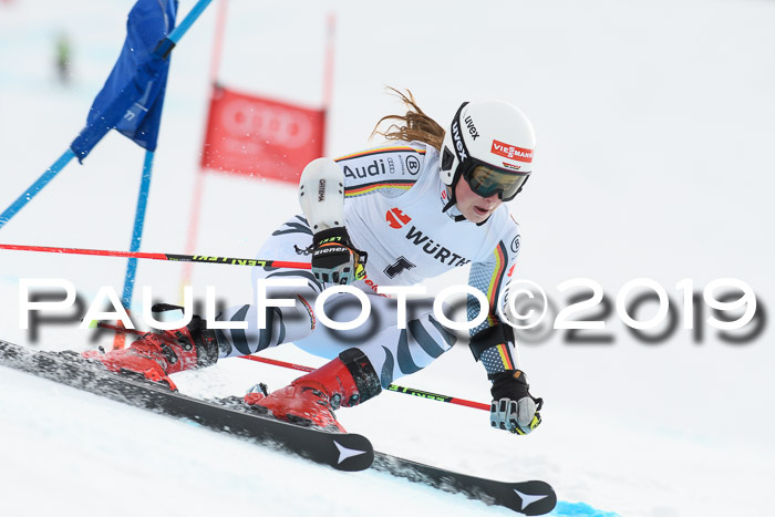 FIS + NJC Riesenslalom Damen + Herren 02.02.2019
