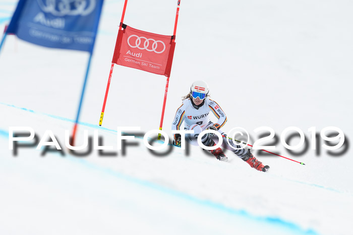 FIS + NJC Riesenslalom Damen + Herren 02.02.2019