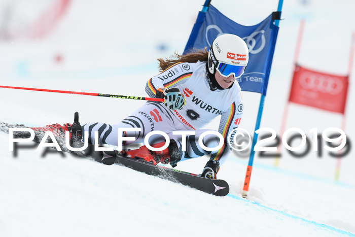 FIS + NJC Riesenslalom Damen + Herren 02.02.2019