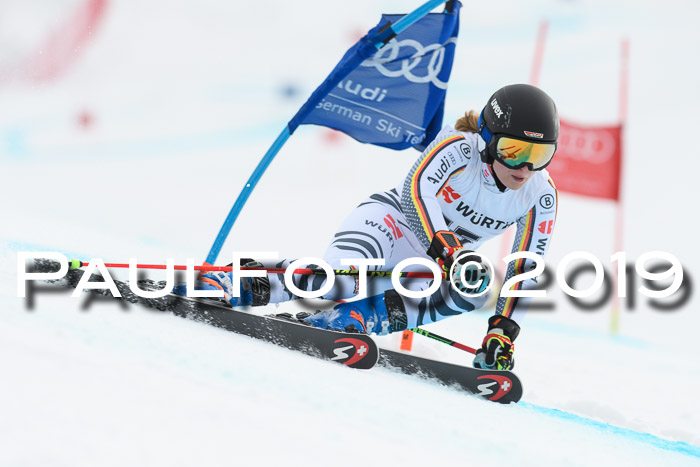 FIS + NJC Riesenslalom Damen + Herren 02.02.2019