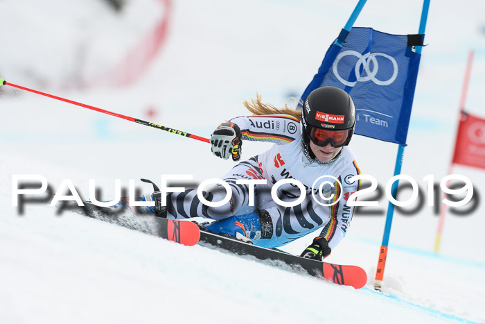 FIS + NJC Riesenslalom Damen + Herren 02.02.2019
