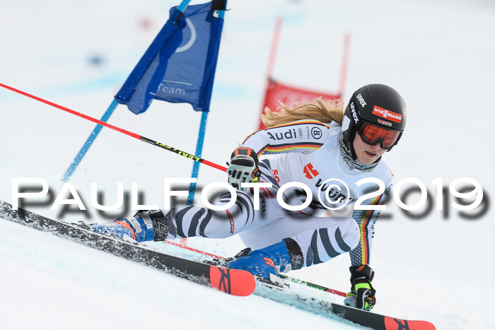 FIS + NJC Riesenslalom Damen + Herren 02.02.2019