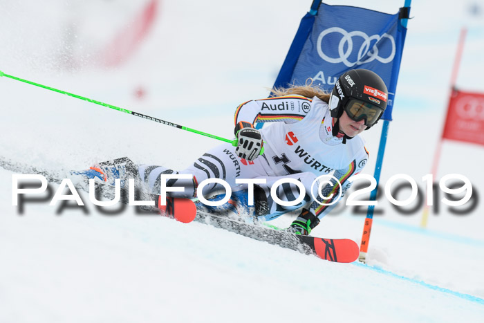 FIS + NJC Riesenslalom Damen + Herren 02.02.2019