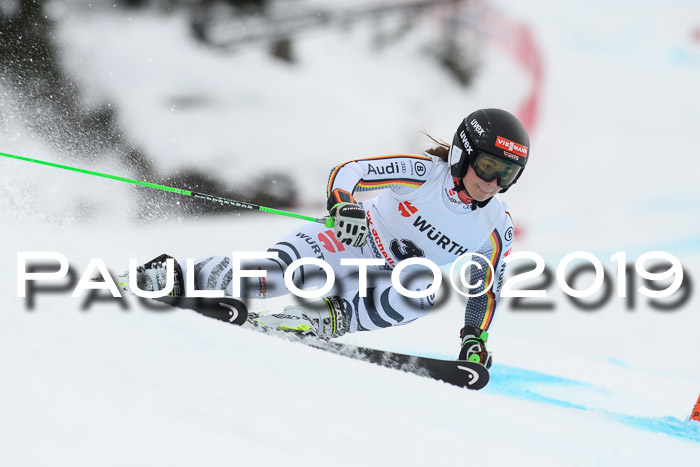 FIS + NJC Riesenslalom Damen + Herren 02.02.2019
