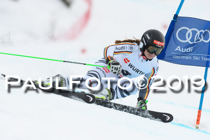FIS + NJC Riesenslalom Damen + Herren 02.02.2019