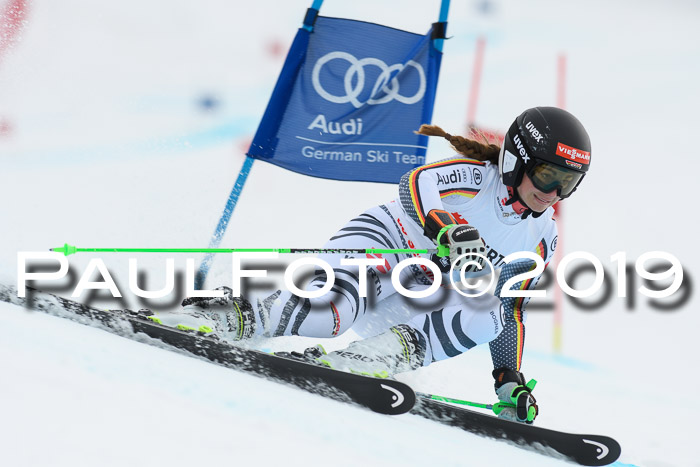 FIS + NJC Riesenslalom Damen + Herren 02.02.2019