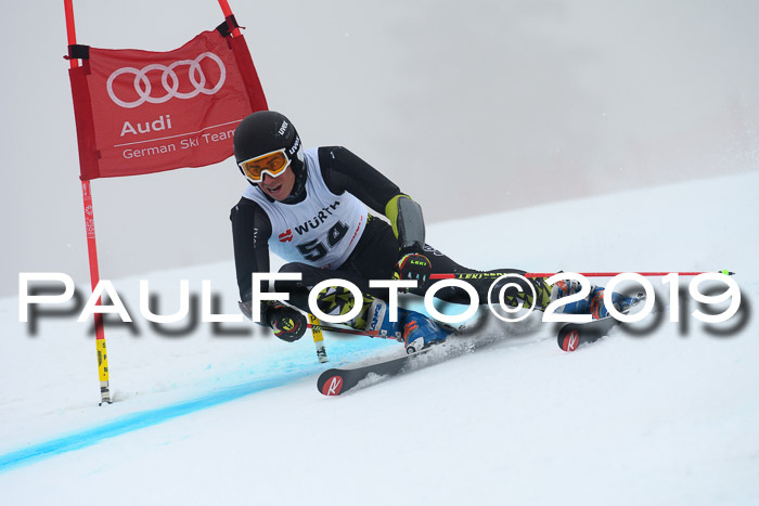 FIS + NJC Riesenslalom Damen + Herren 02.02.2019