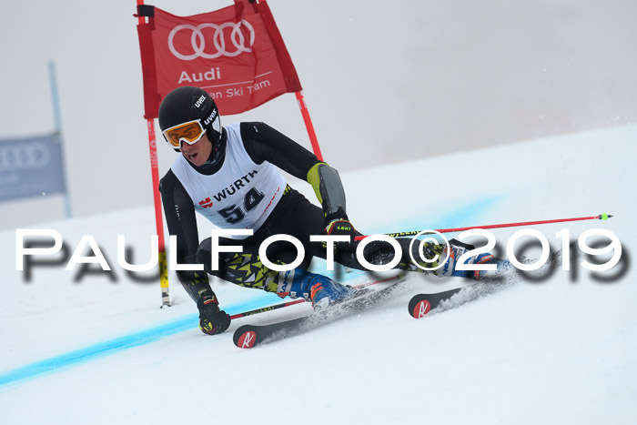 FIS + NJC Riesenslalom Damen + Herren 02.02.2019